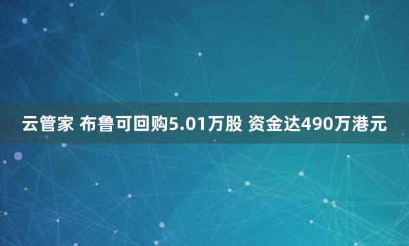 云管家 布鲁可回购5.01万股 资金达490万港元