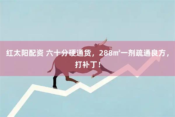 红太阳配资 六十分硬通货，288㎡一剂疏通良方，打补丁！